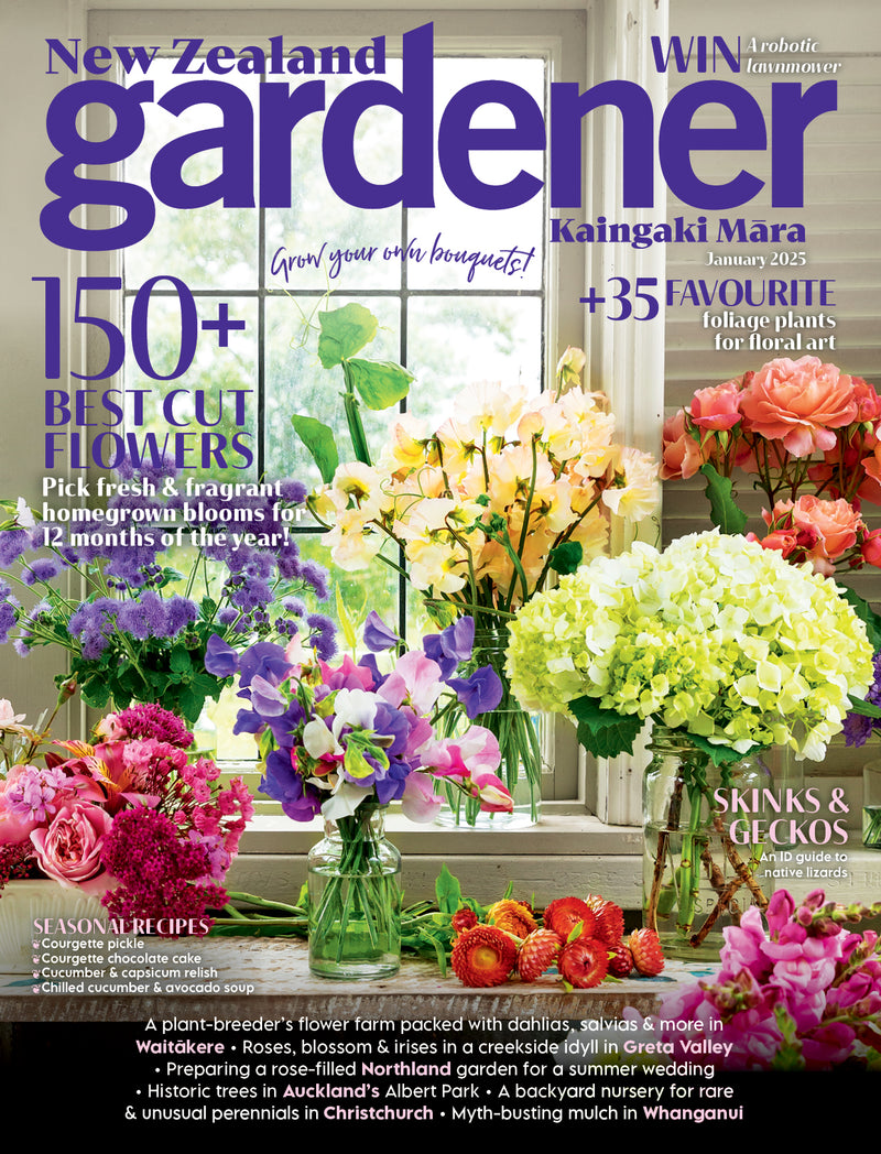 NZ Gardener January Issue [Single Copy + Puzzle Book]