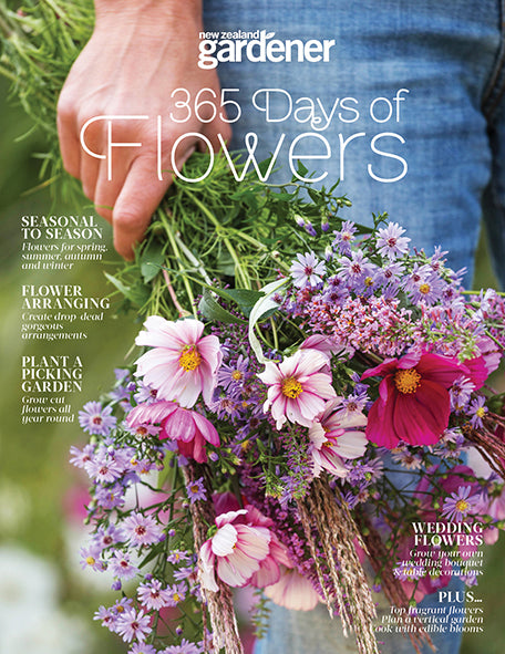 365 Days of Flowers - Special Edition